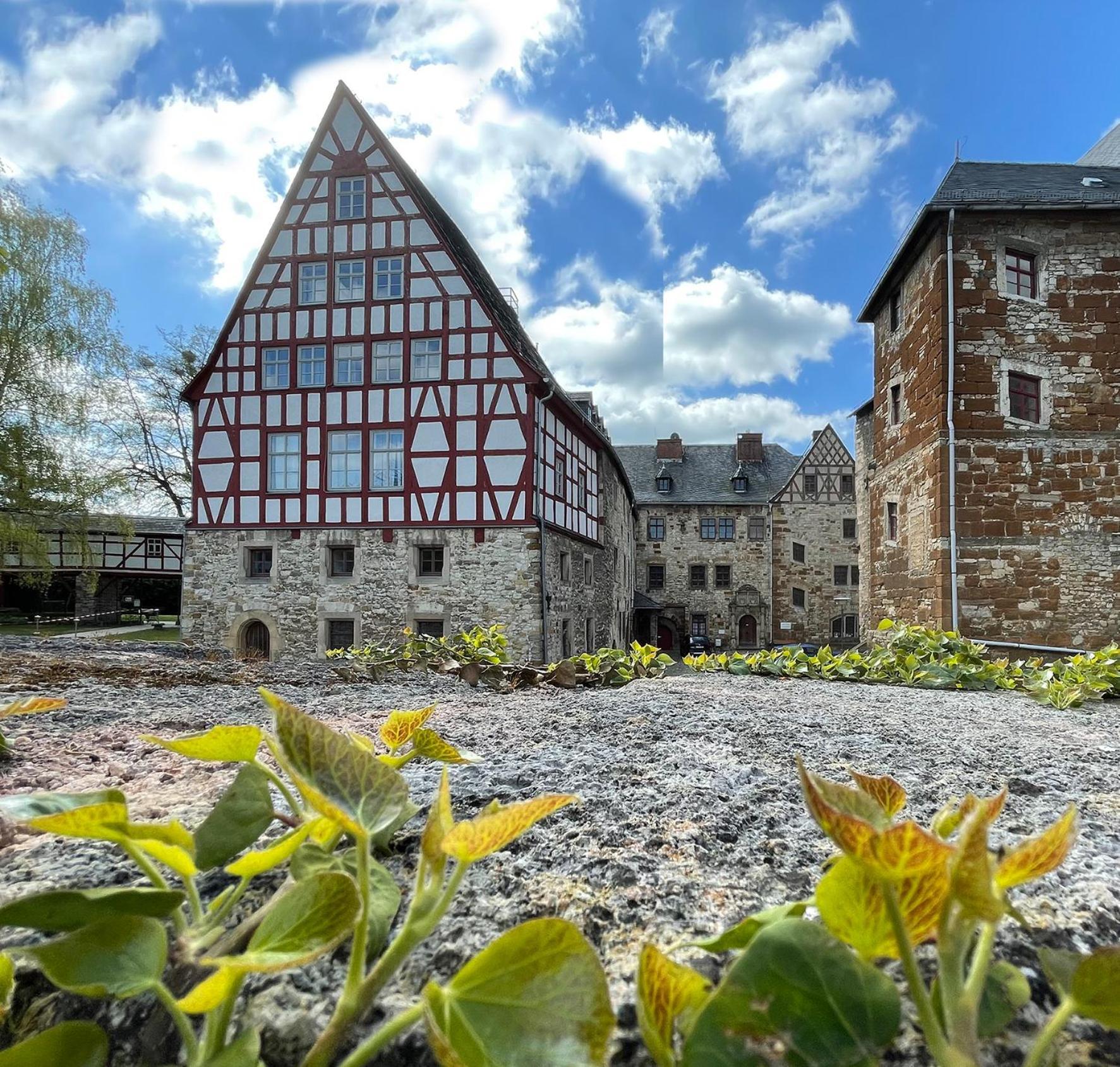 Schloss Beichlingen Exterior foto