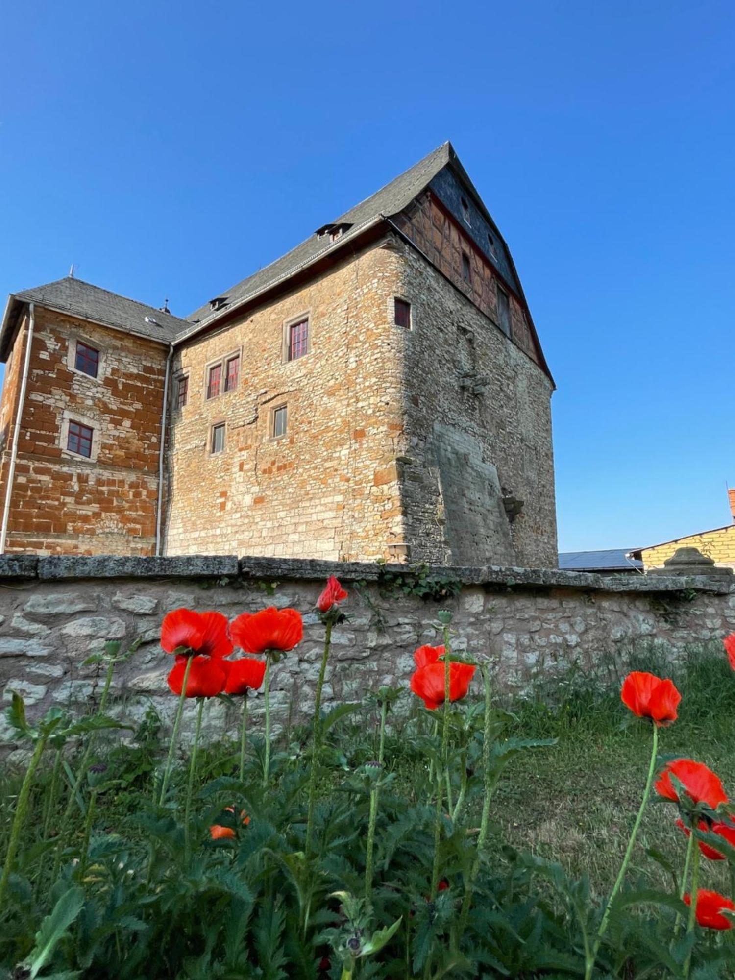 Schloss Beichlingen Exterior foto