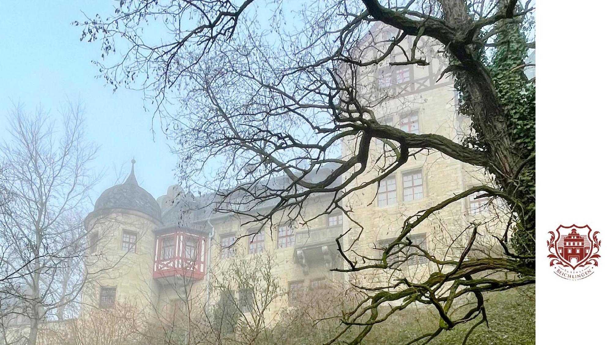 Schloss Beichlingen Exterior foto